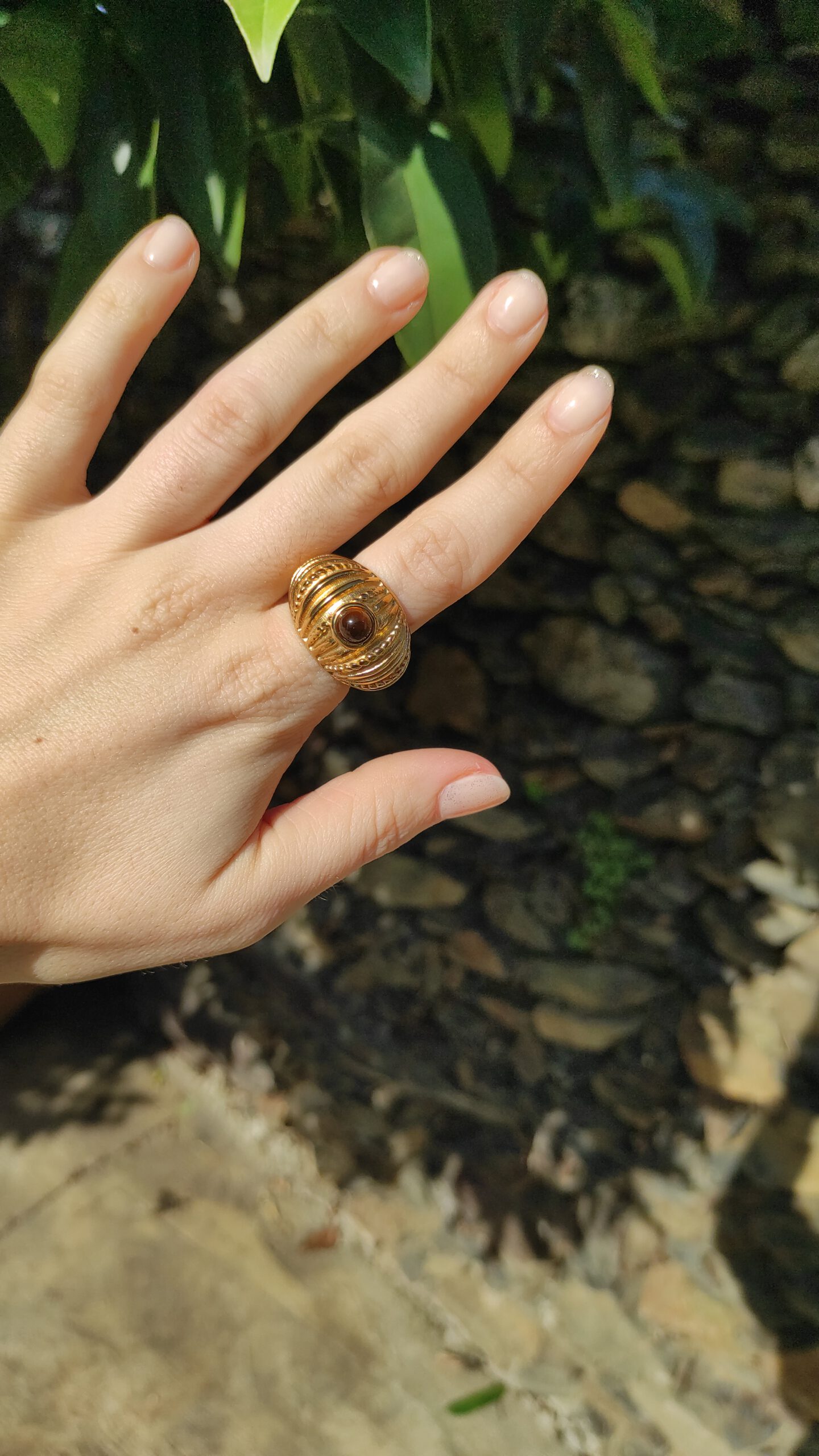 Anillo Eir - Imagen 4